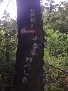 Stablo i natpis kod PD Glavica, Medvednica; nije na putu za Gelender